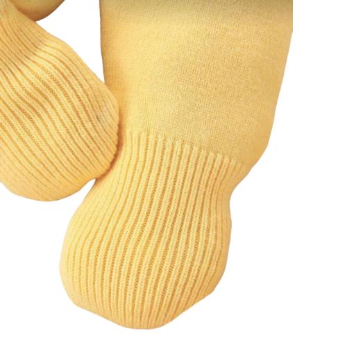 Primera Puesta Romina