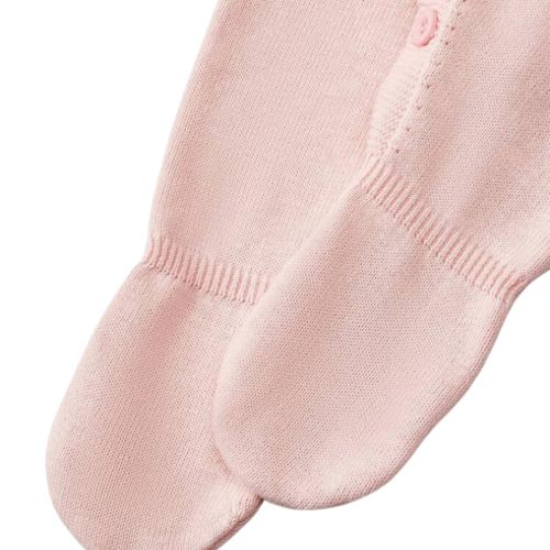 Primera puesta Andrea